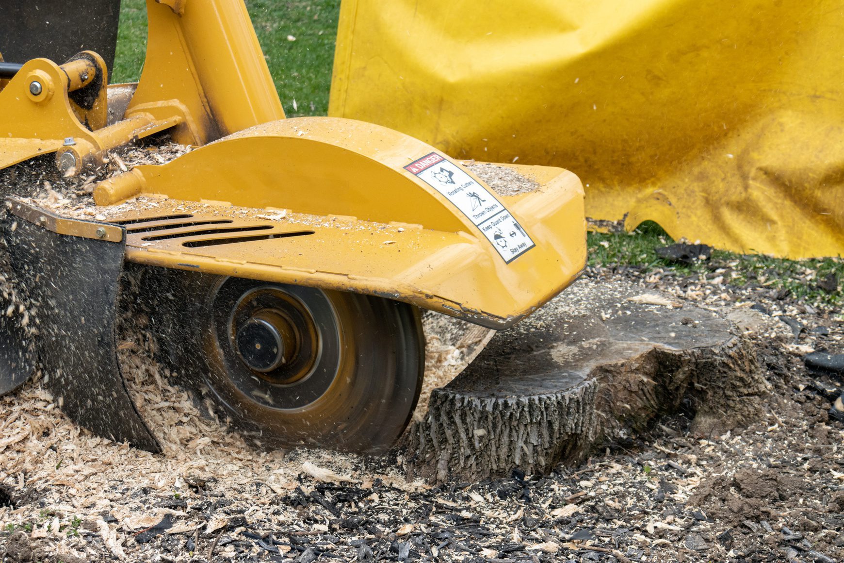 stump grinder cutting tree stump into wood chips stump grinding