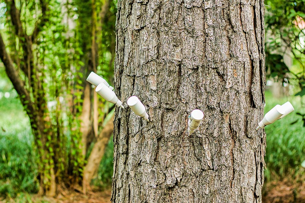 tree injection
