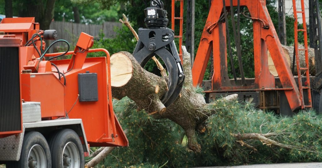 A removed tree lays in the road attached to a piece of heavy machinery. The machinery is relocating the removed tree.
